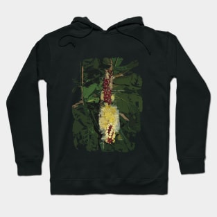 Cut Nut or Barringtonia edulis Hoodie